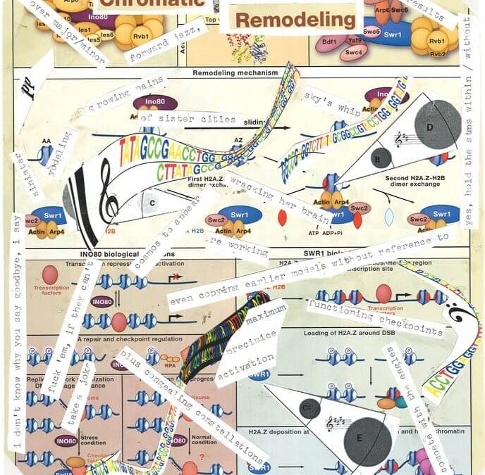 Chromatic Remodeling