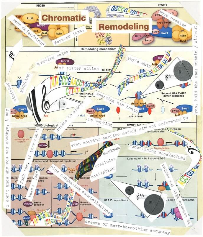 Chromatic Remodeling